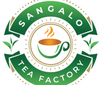 SANGALO TEA-1
